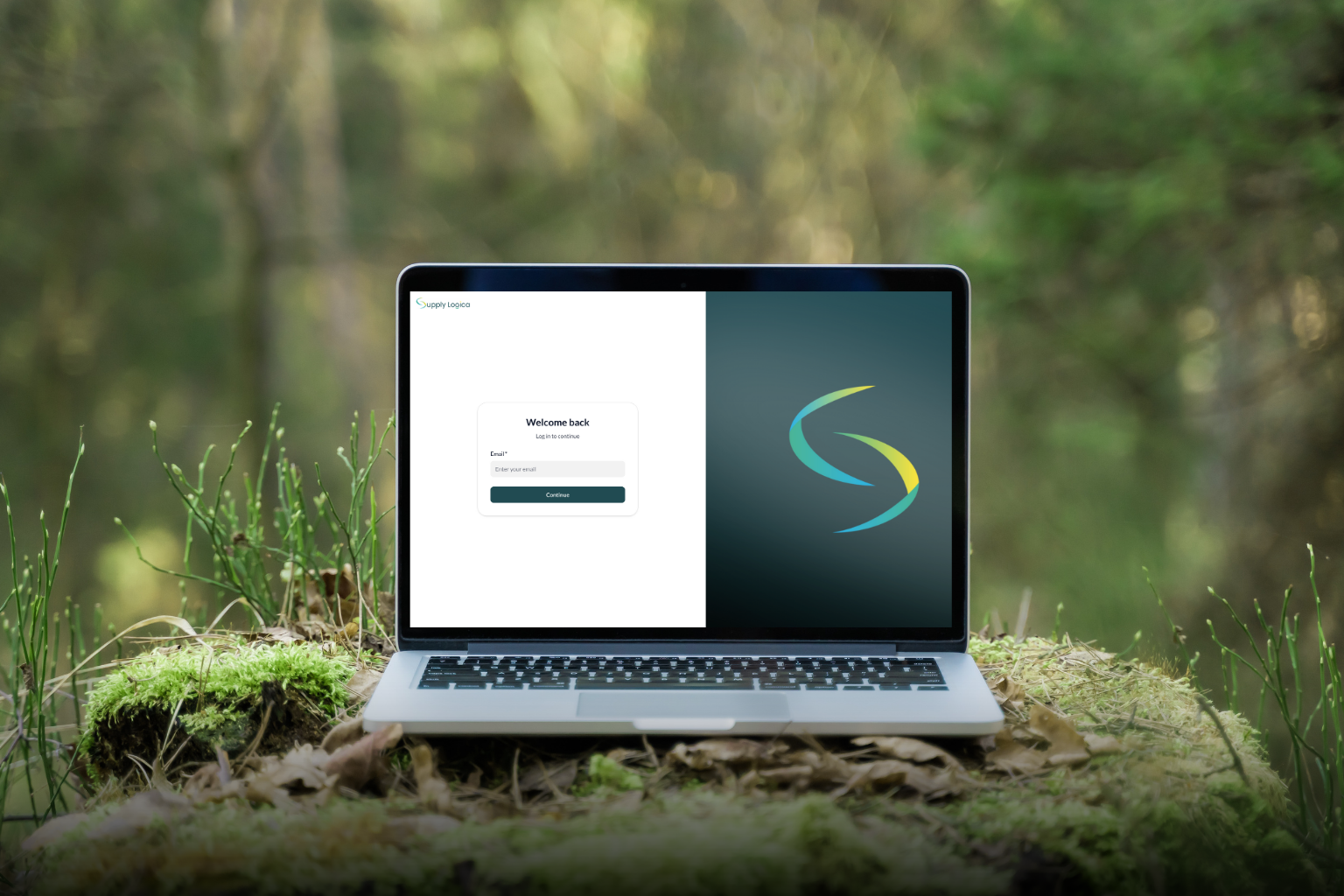 Supply Chain Visualization